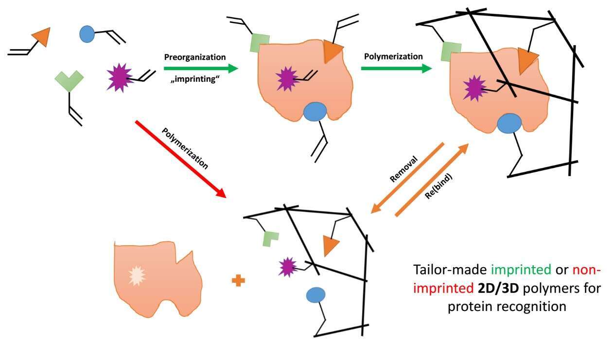 Principle of Molecular Impriting addressed by Functional Monomers